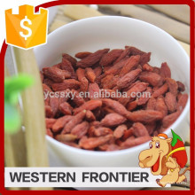 2016 Hot sale top quality with low price goji berry
